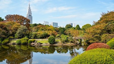 🏞️ 신주쿠 중앙공원 (新宿中央公園) 이미지 2